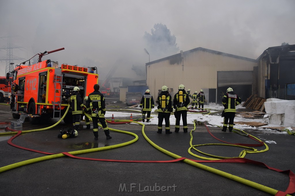 Feuer 3 Rheinkassel Feldkasseler Weg P1103.JPG - Miklos Laubert